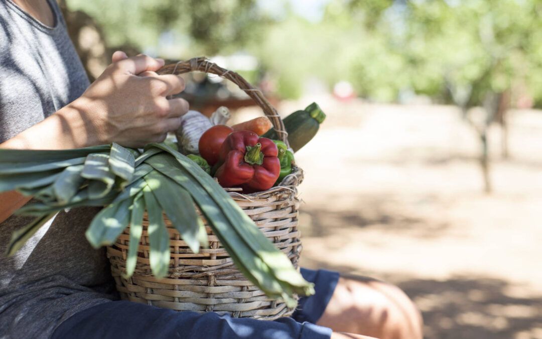 Verano: cuidados que necesita tu huerto (I)