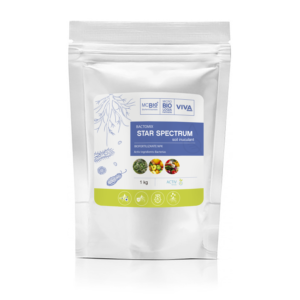 Biofertilizantes
