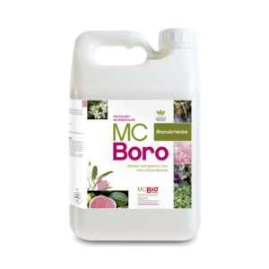 Biofertilizante