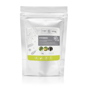 Biofertilizantes
