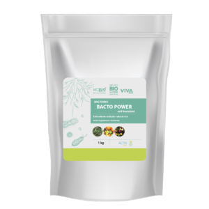 Biofertilizantes