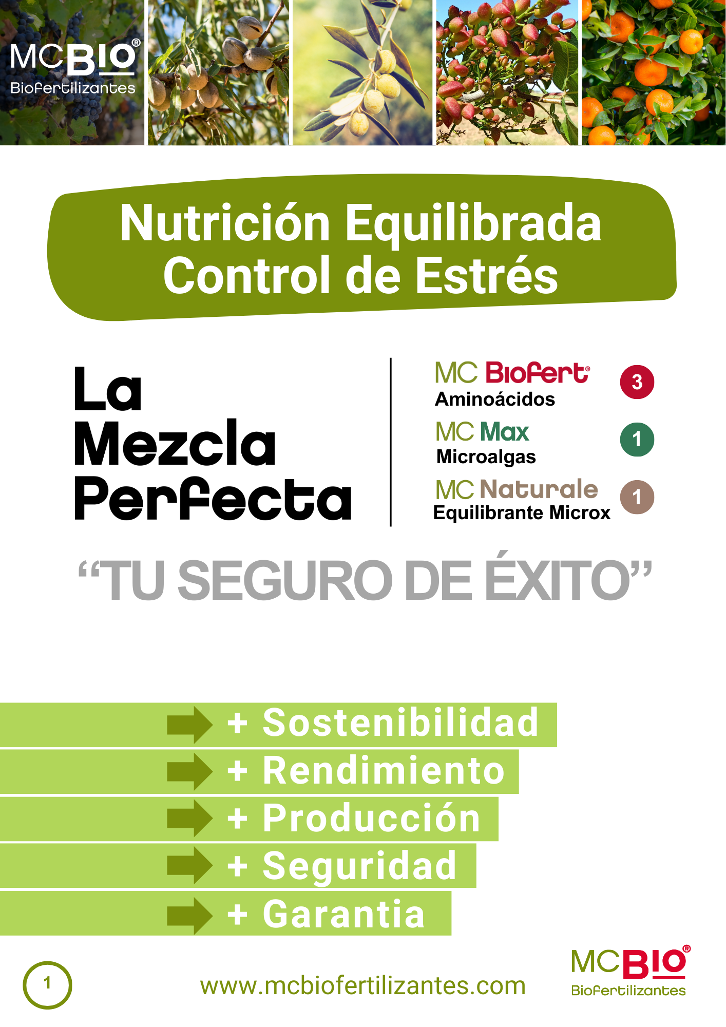 La Mezcla Perfecta - MC BIO
